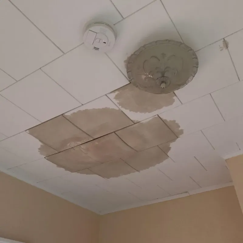 Ceiling Water Damage Repair in Eucalyptus Hills, CA