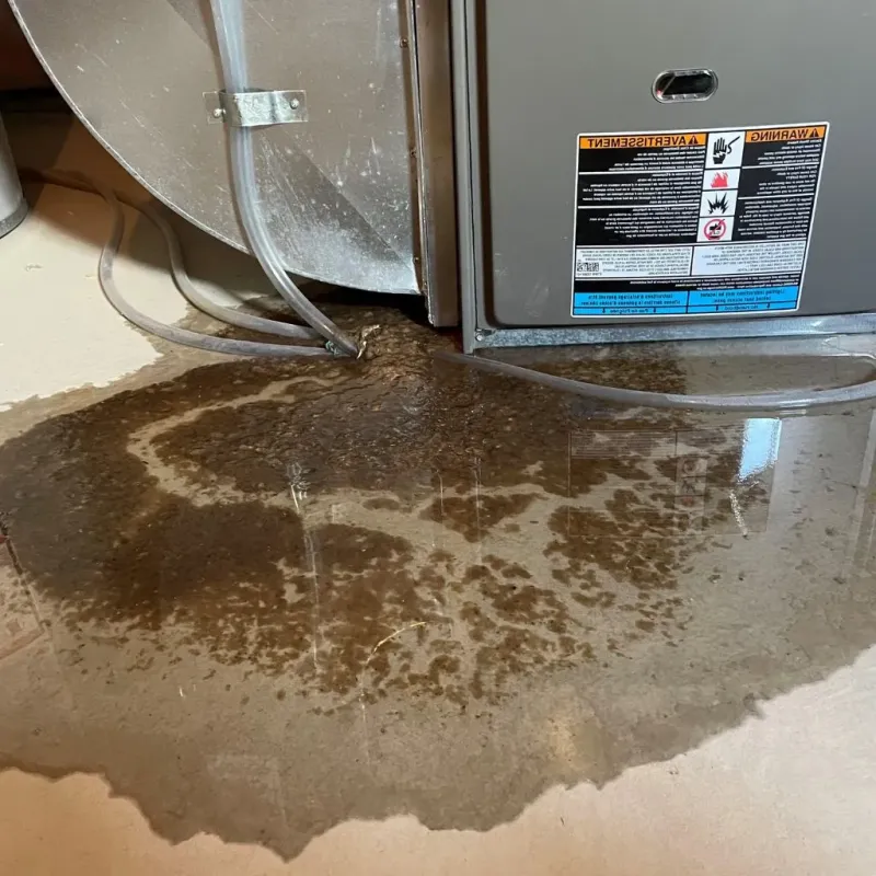 Pipe Burst and Leak Restoration in Eucalyptus Hills, CA