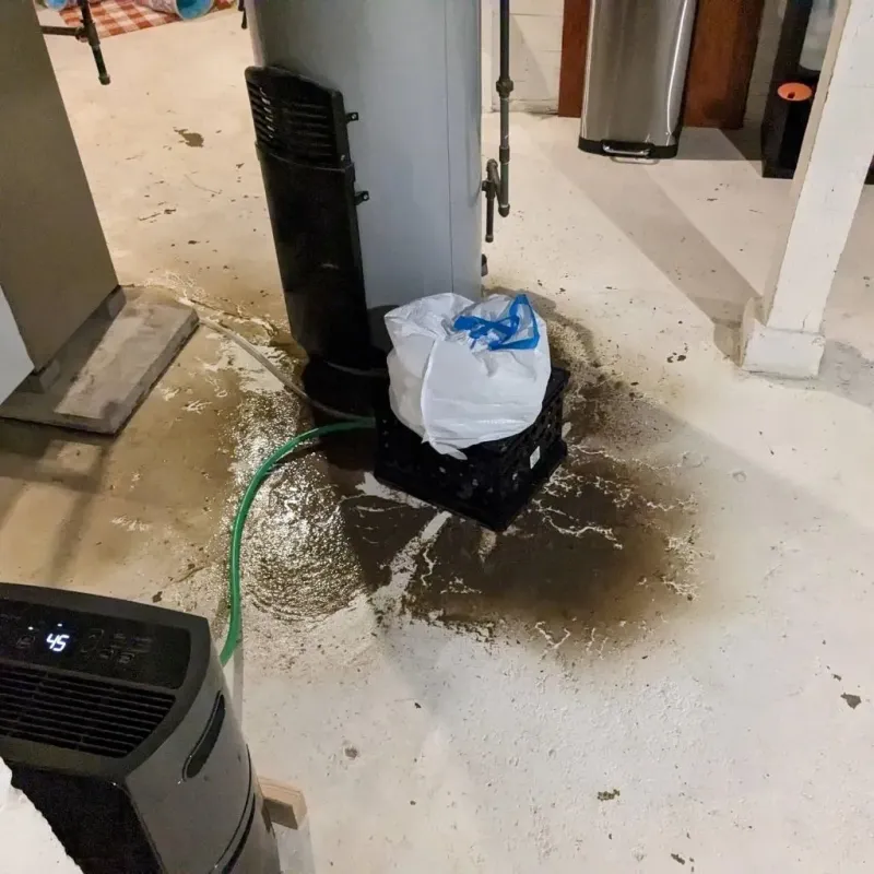 Sewage Backup Cleanup Service in Eucalyptus Hills, CA